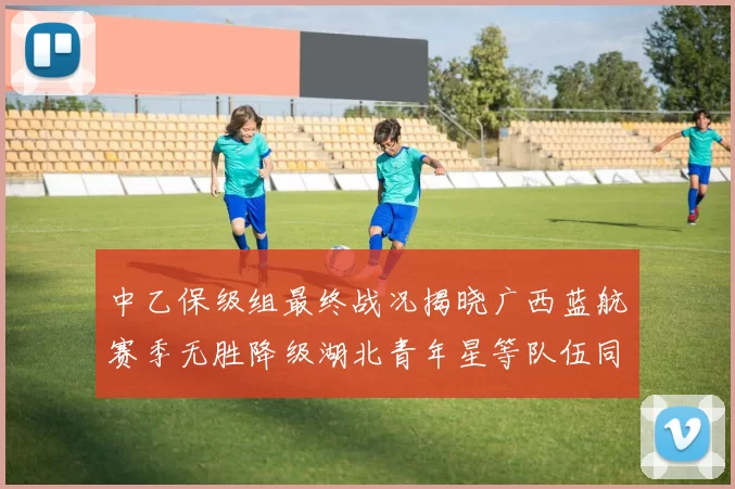中乙保级组最终战况揭晓广西蓝航赛季无胜降级湖北青年星等队伍同遭降级